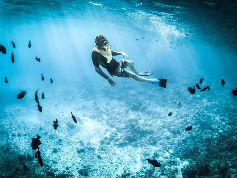 Snorkeller swimming among fish in clear water