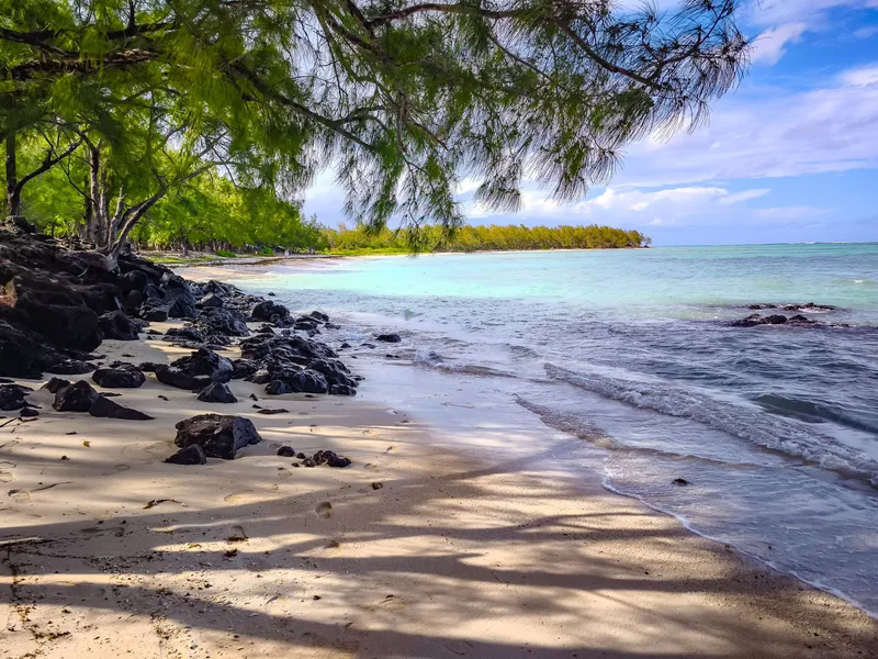 Ruhiger Strand mit schwarzen Vulkanfelsen und Filao-Bäumen auf Mauritius